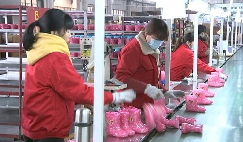 金華一季度新增 品字標 企業(yè)數(shù)浙江省第一